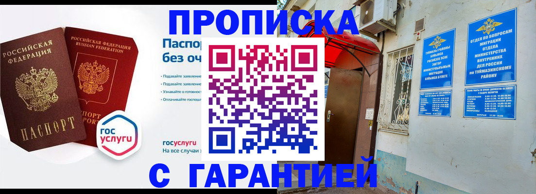 прописка законно в Купино